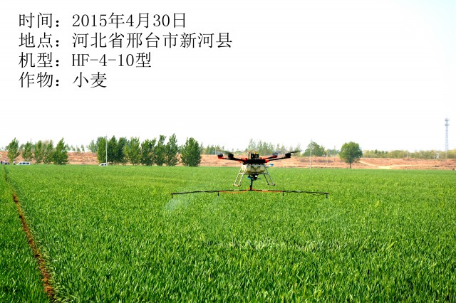 2015年4月30日市新河縣小麥作業