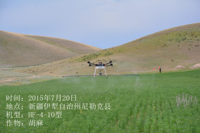 2015年7月20日伊犁尼勒克縣胡麻作業