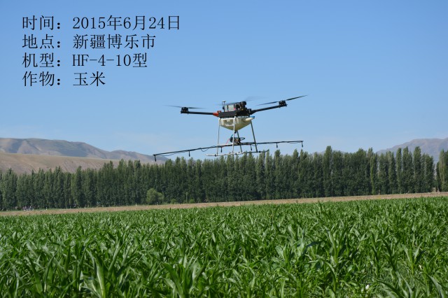 2015年6月24日博樂市玉米作業