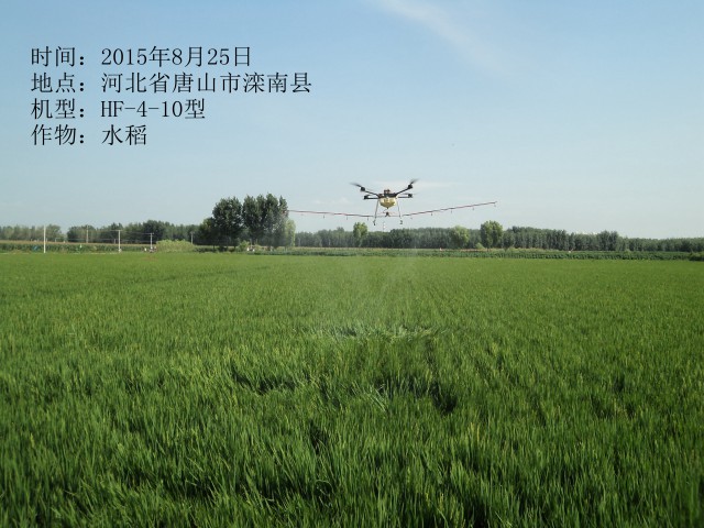 2015年8月25日灤南水稻作業